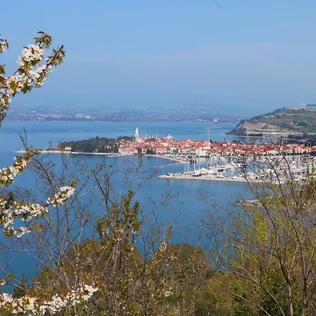 Apartma Savrin Izola